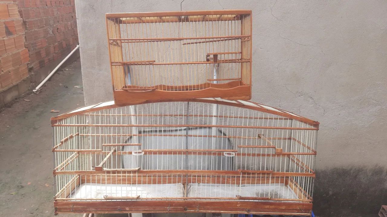 2 gaiola 