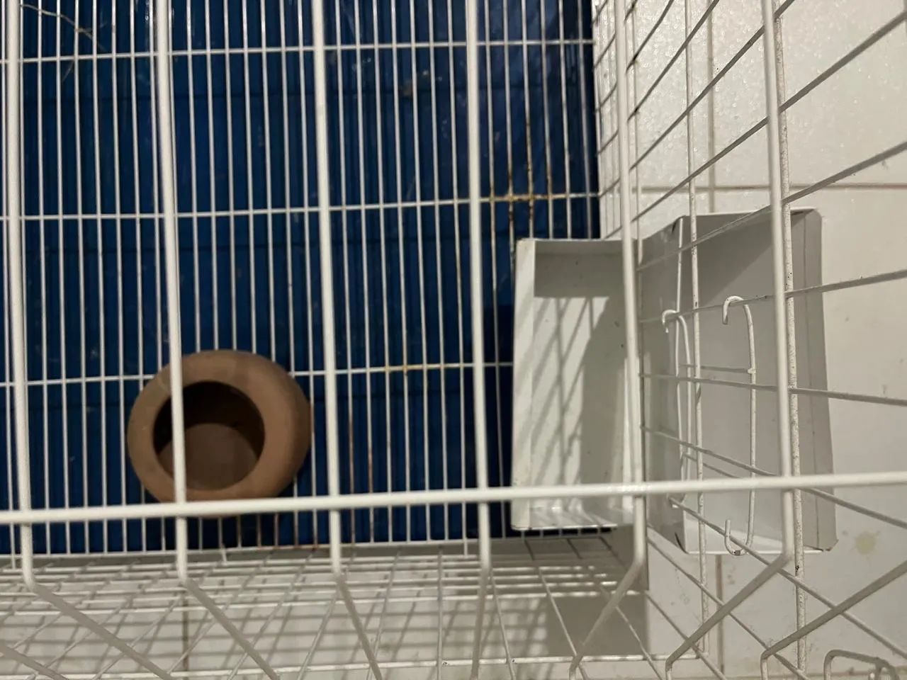 Gaiola para coelho, hamster? - Foto 2