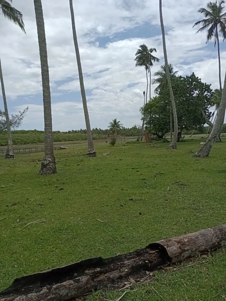 Vasco da Gama - Foto 4