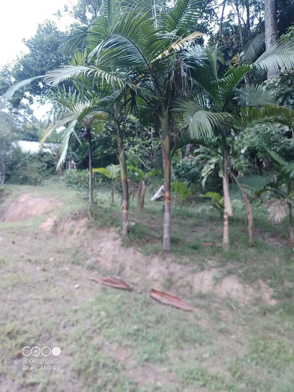 Foto - Mauá - Jardim Luzitano