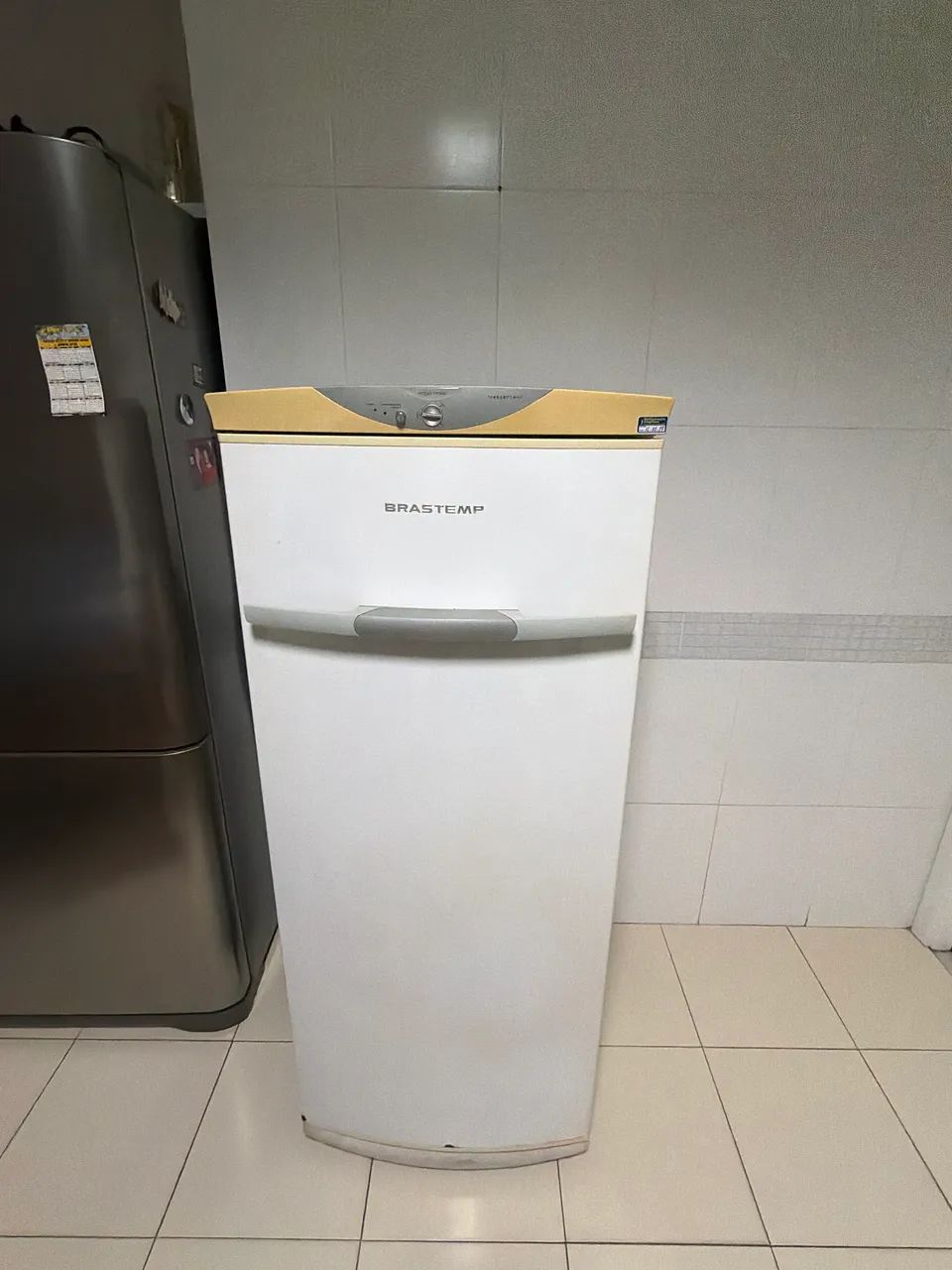 Freezer Brastemp 240