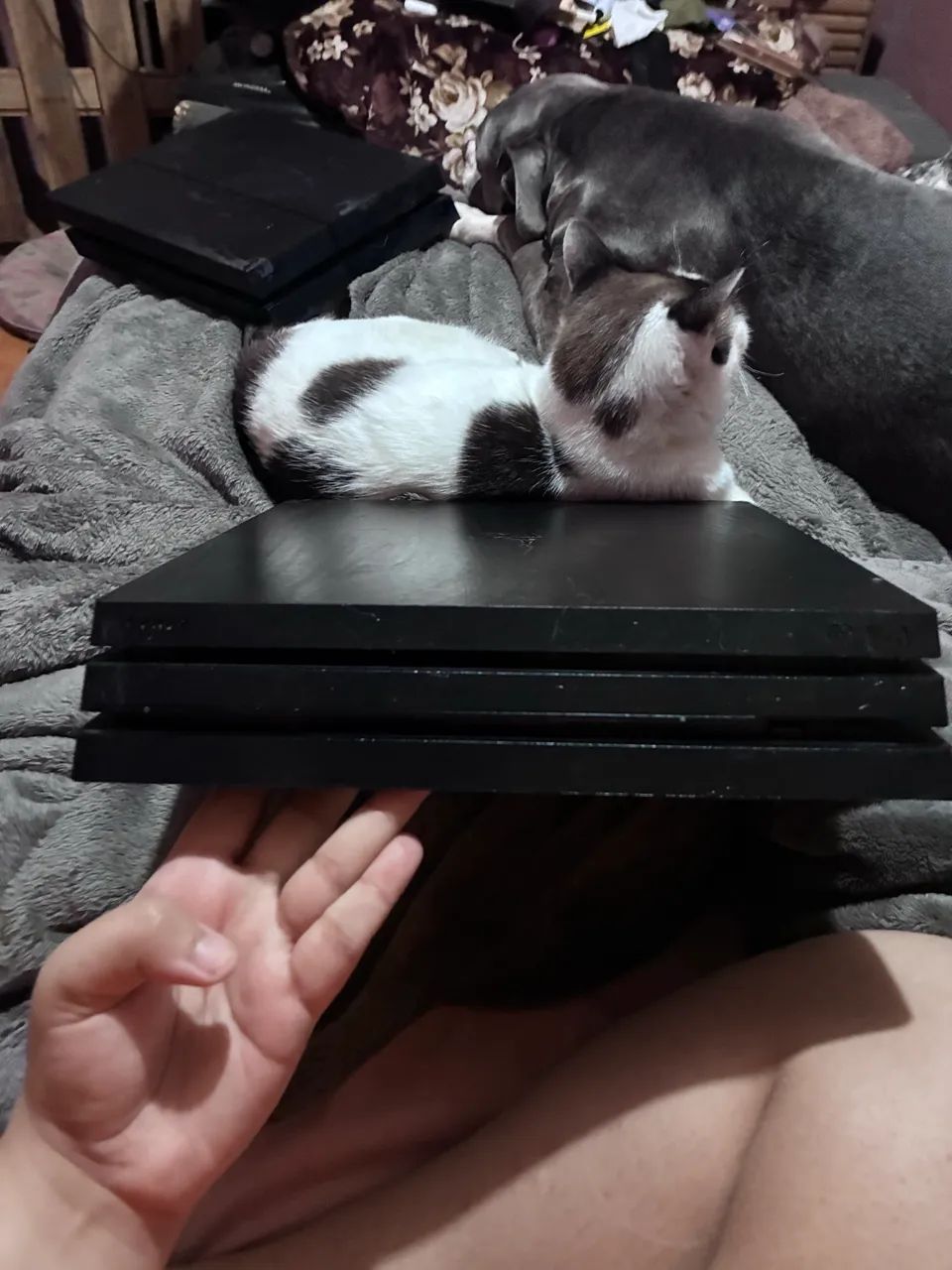PlayStation 4 Pro usado - Foto 3