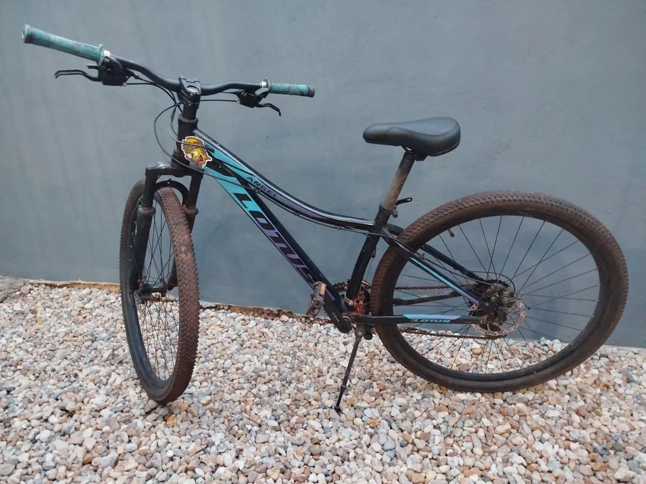 Bicicleta lotus 