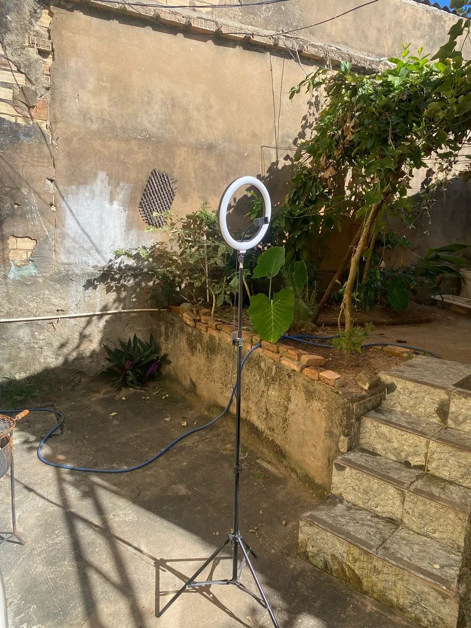 Ring Light com Tripé
