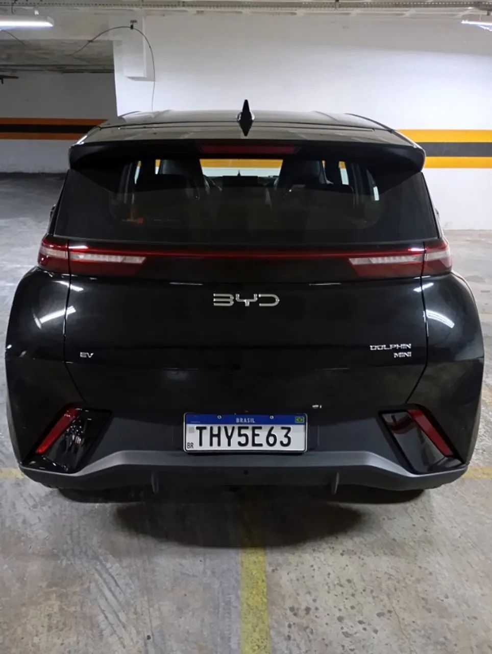 BYD Dolphin Mini GL 2026 - Foto 4