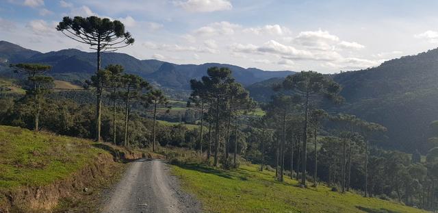Sítio em Urubici/chácara em Urubici/ - Foto 4