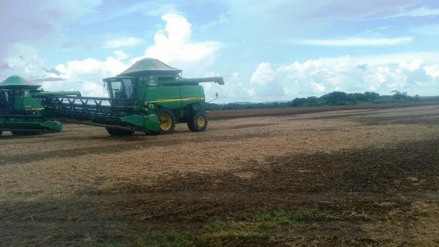 Fazenda 39000 ha Vale do Araguaia MT - Foto 7
