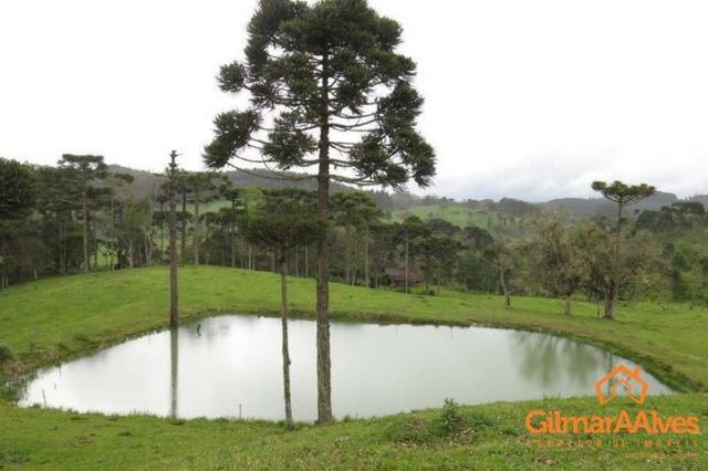 Chácara para Venda, 10.158,53 m², São Bento do Sul / SC, bairro Rio Vermelho - Foto 14
