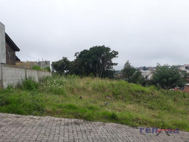 Terreno em caxias do sul - Foto 4
