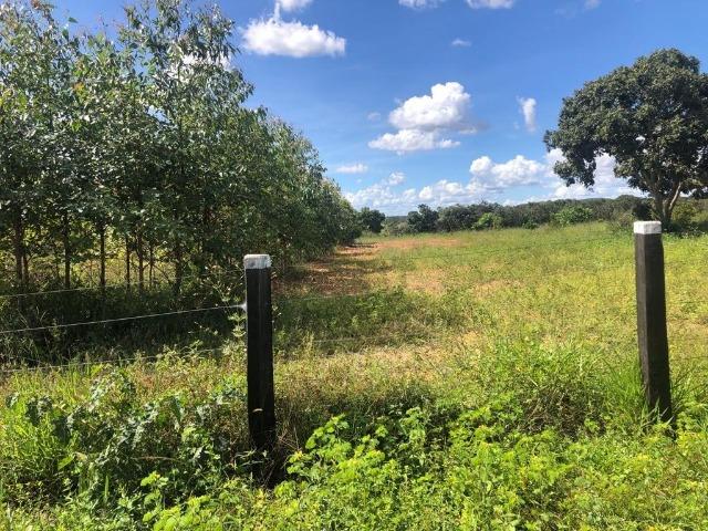 Fazenda em Paranatinga MT - Foto 14