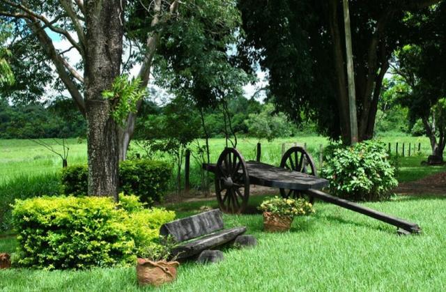 Fazenda 700 Alqueires - Região de Presidente Prudente-SP - Foto 16