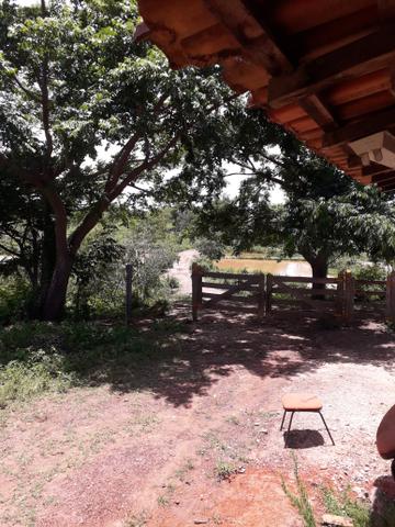Sítio muito barato - Foto 12