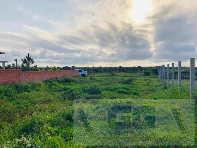 Terreno para Venda em Balneário Pinhal, Centro - Foto 3