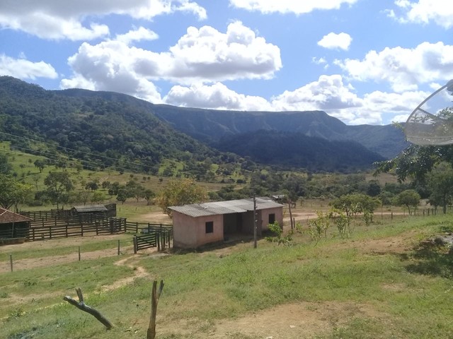 Fazenda de 343 Alqueires em Formosa Go  - Foto 3