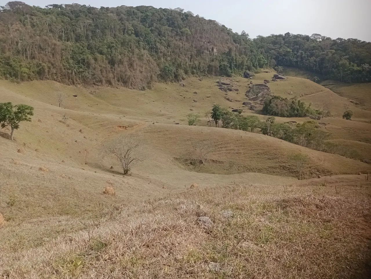 Luxo de sitio com 80 hectares. - Foto 2