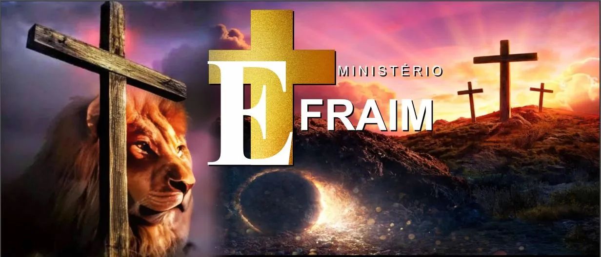 Banner na promoção!! - Foto 2