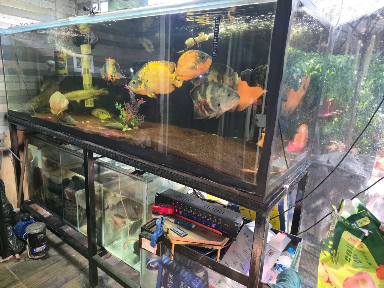 Aquário jumbo - Foto 2