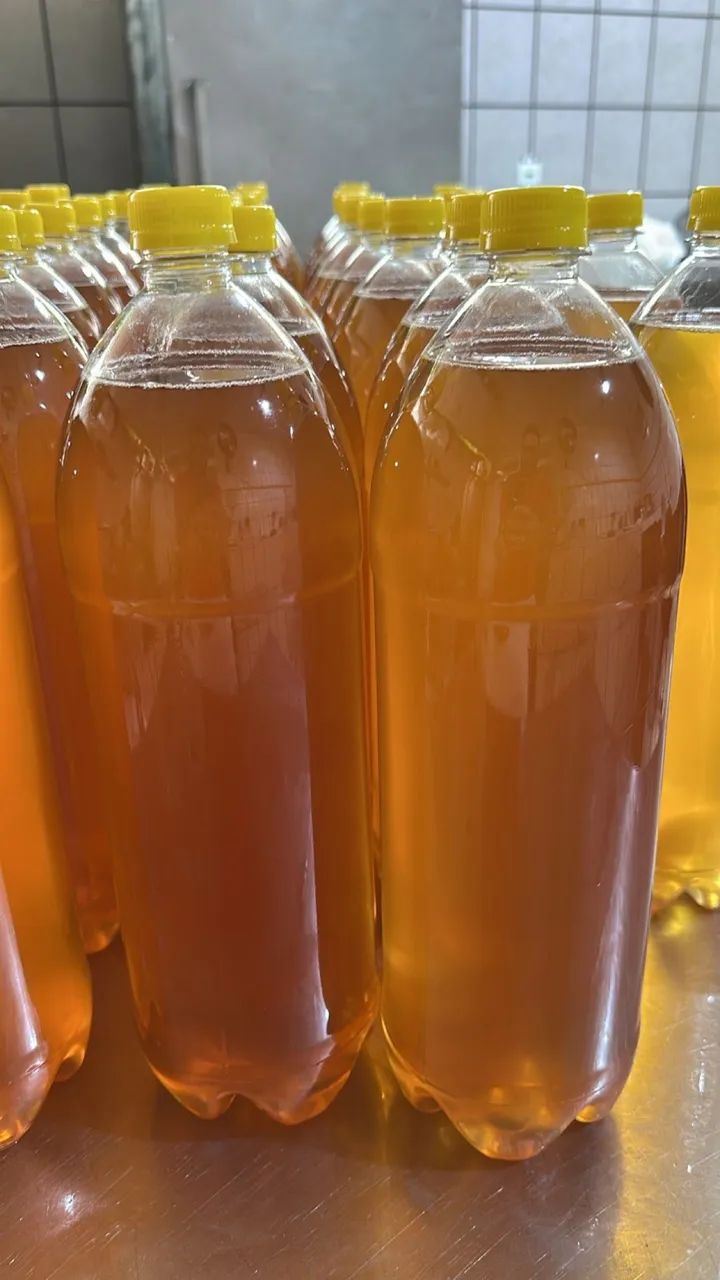 Banha de Porco64167771034370121