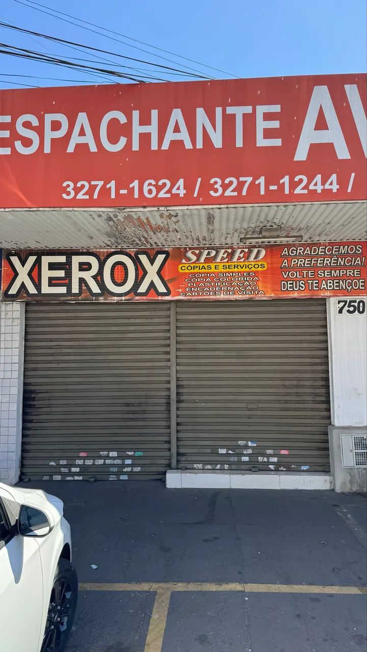 *IMOVEL COMERCIAL E RESIDENCIAL* Av PIO XII - Foto 4