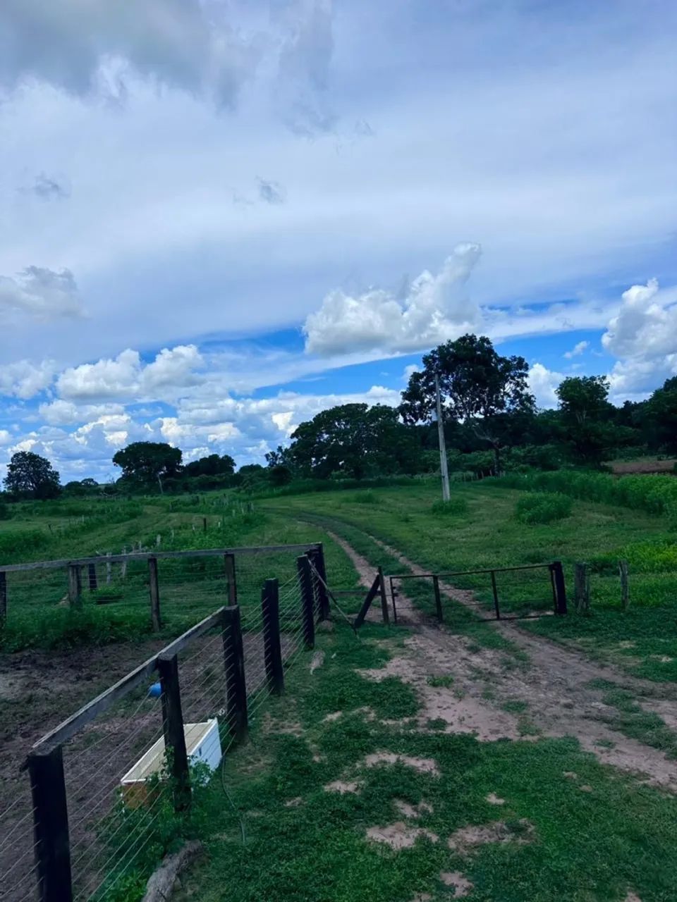 Fazenda 51 alqueires em Peixe Tocantins  - Foto 5