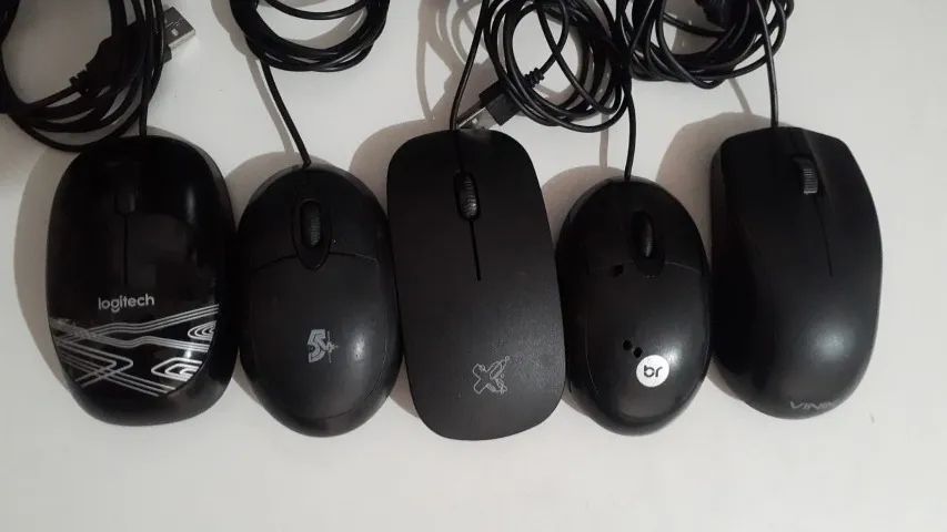 Mouse