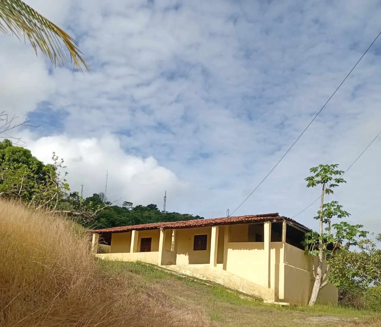 Alugo sítio com 6,5 hectares 