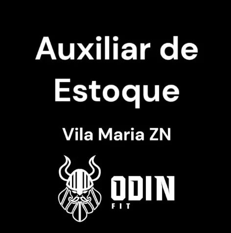 Auxiliar de Estoque (Masculino) - Vila Maria - ZN