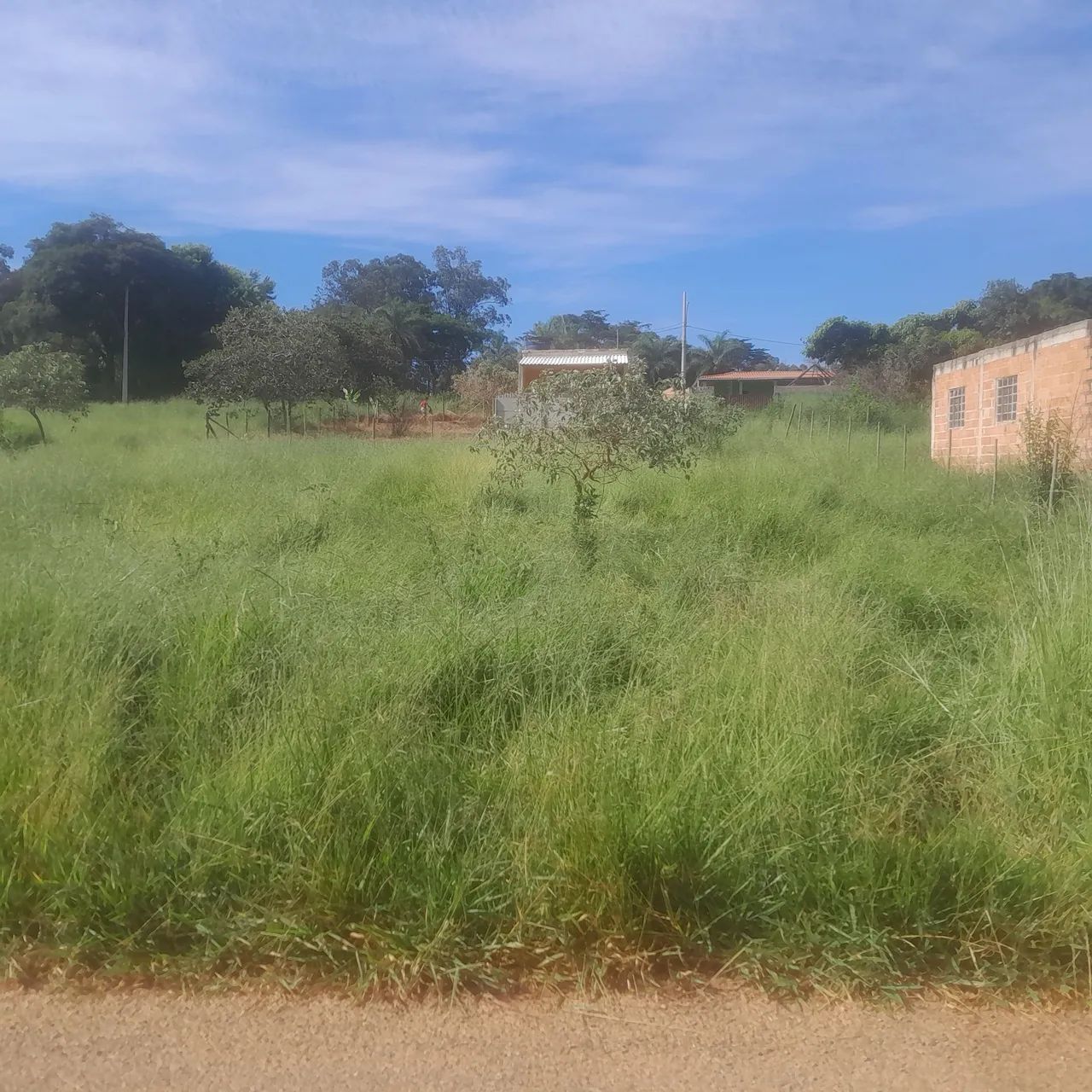 Terreno com acesso asfaltado avenida principal  - Foto 3