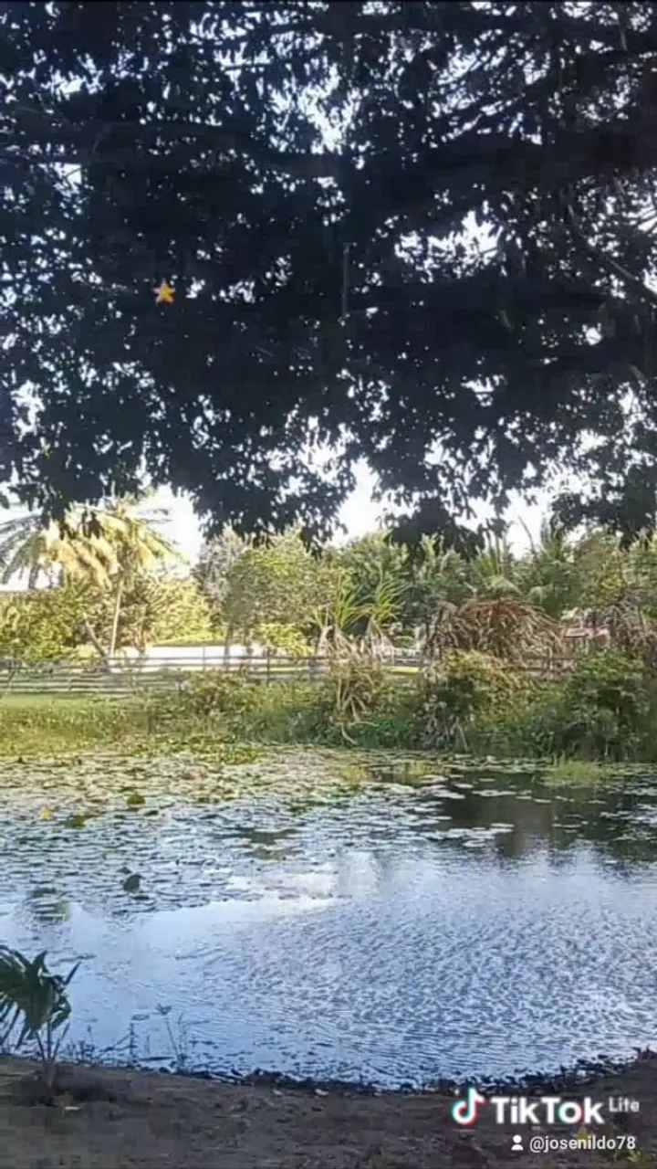 Sitio