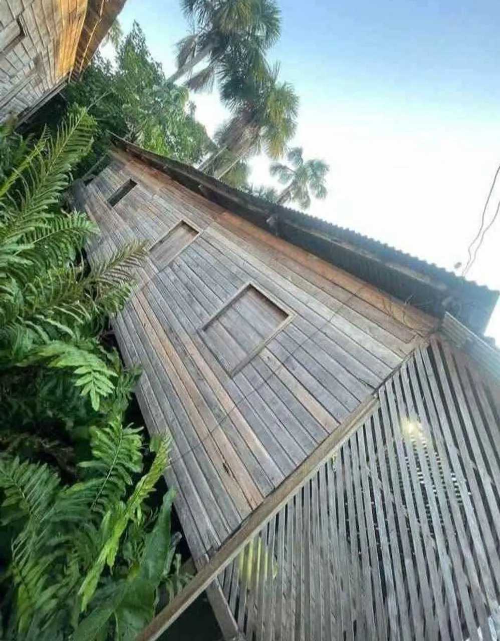 VENDO