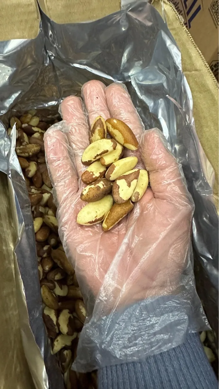 Castanhas do Pará Large em Atacado Envio para todo o Brasil