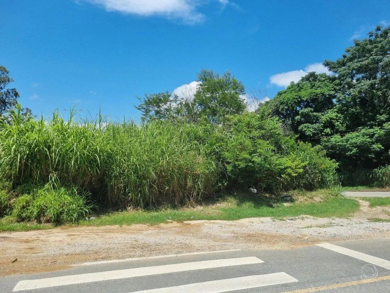 Terreno para Venda em Florianópolis, Agronômica - Foto 2