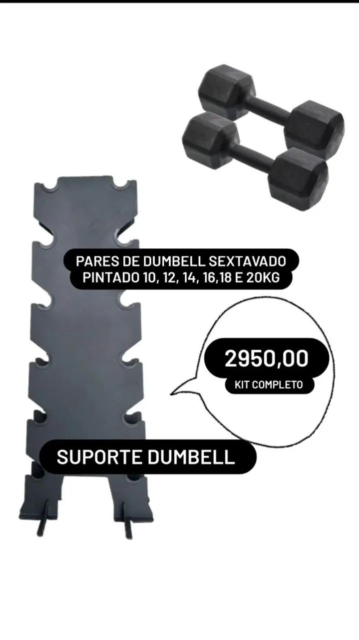 Kit Completo de Halteres dumbell Sextavados 10kg a 20kg com Suporte