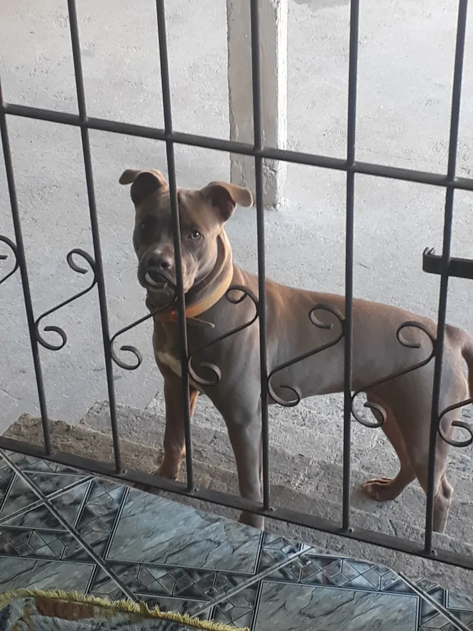 250 REAIS