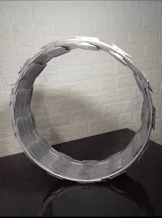 Concertina (Arame farpado)