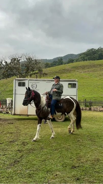 Cavalo Mangalarga Marchador- Legenda