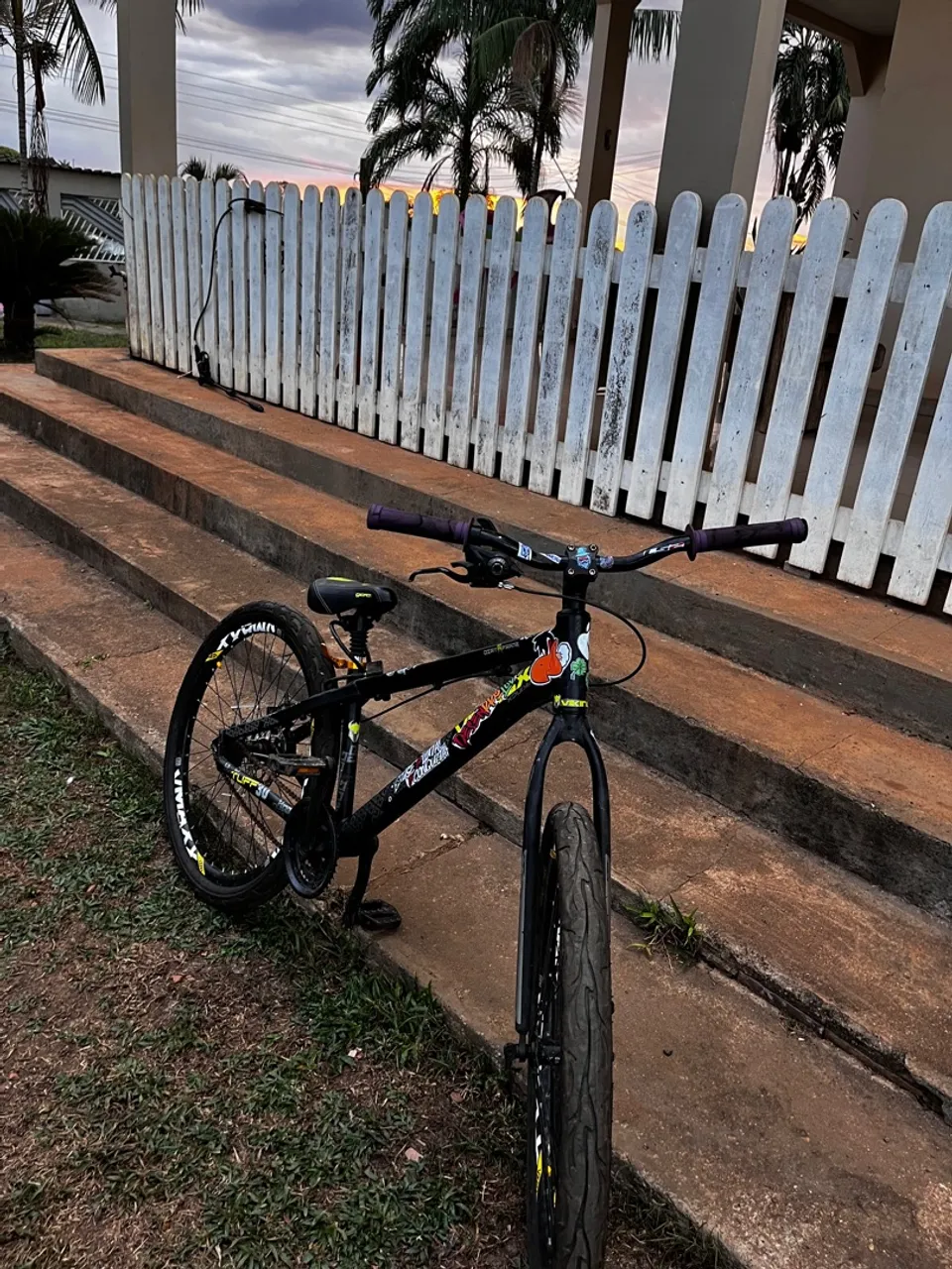 Bicicleta vikingX