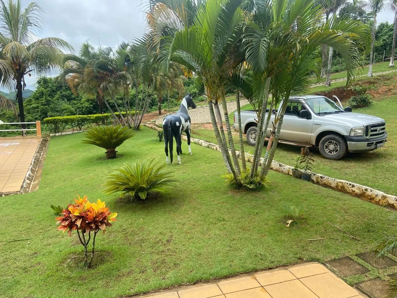 Oportunidade Vende-se Sítio no Paraíso  - Foto 3