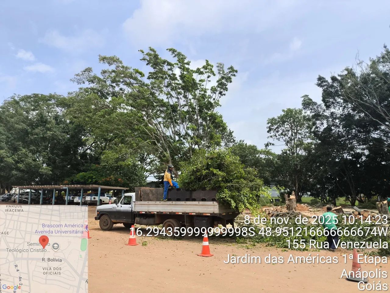 Serviços de jardinagem em geral 