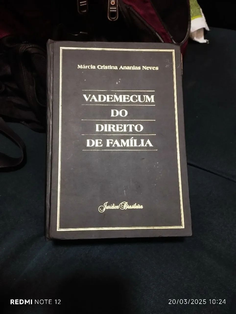 Vademecum do Direito de Família - Foto 2