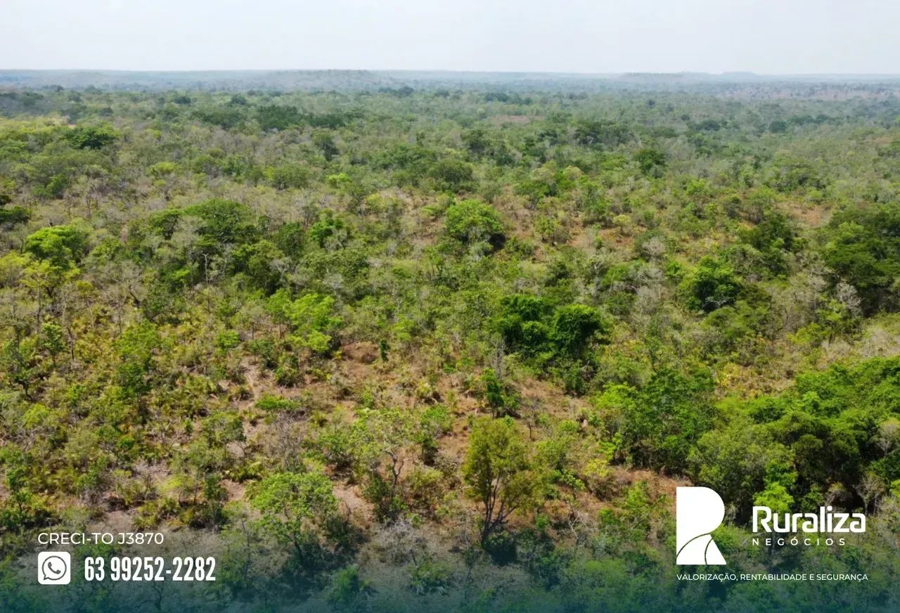 ÁREA BRUTA COM 270 HA DE POTENCIAL AGRÍCOLA | NASCENTES E CÓRREGOS - Foto 2