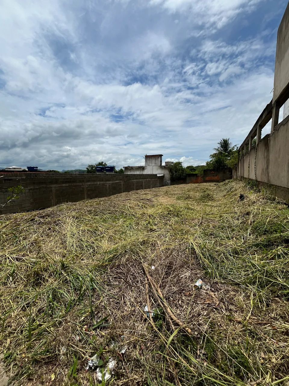 Foto - Itaperuna - 