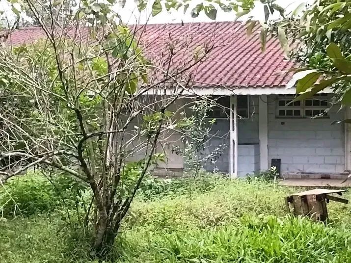 Chácara a venda preço pra vender rápido 
