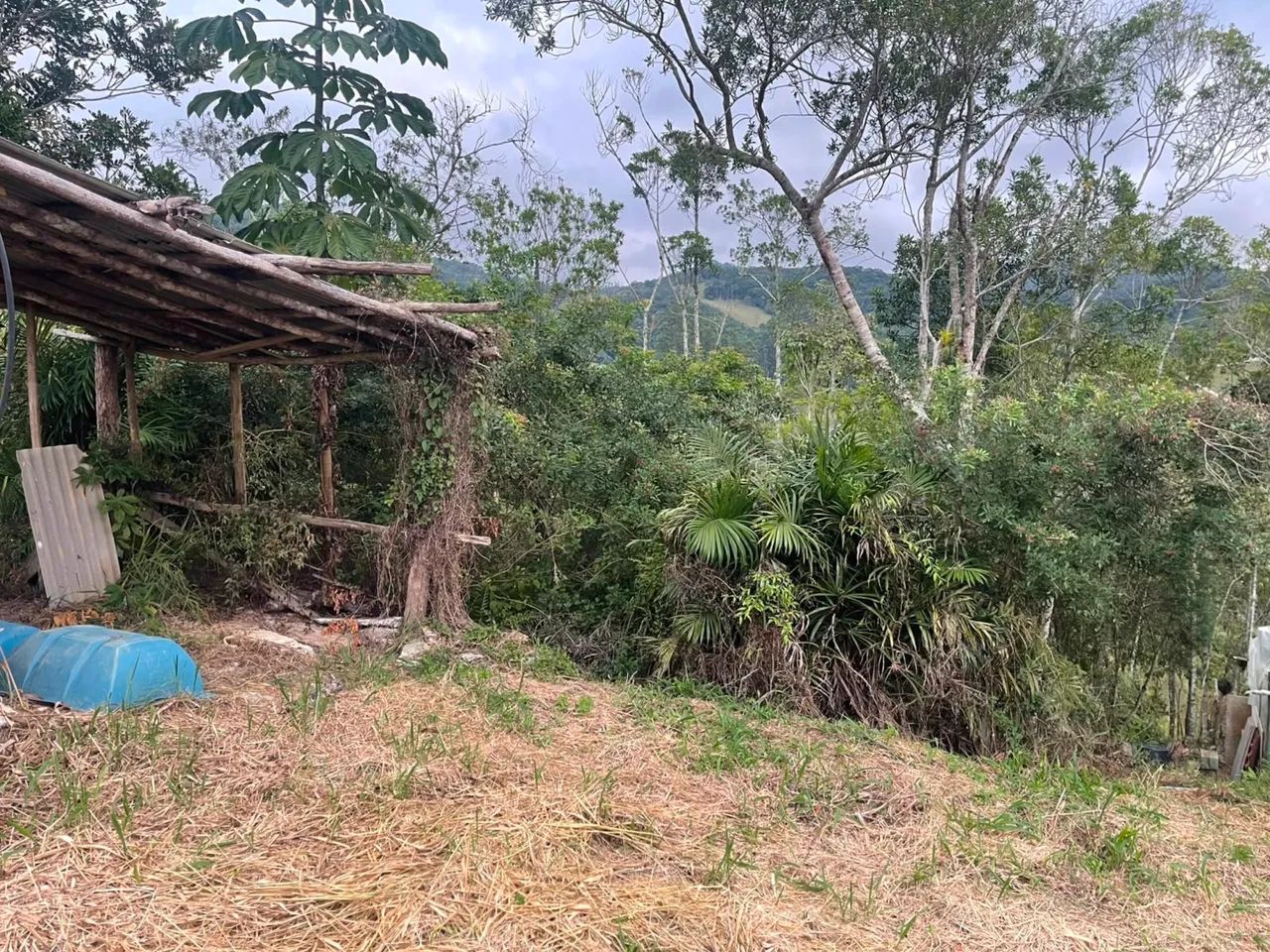 Vendo terreno em São Pedro de Alcântara - Foto 2