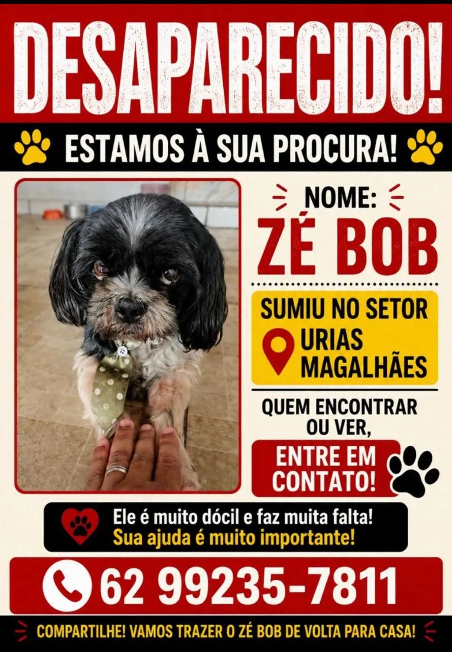 Procura-se por Zé Bob  - Foto 3