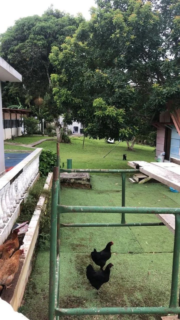 Chácara São Lourenço da Serra  - Foto 5
