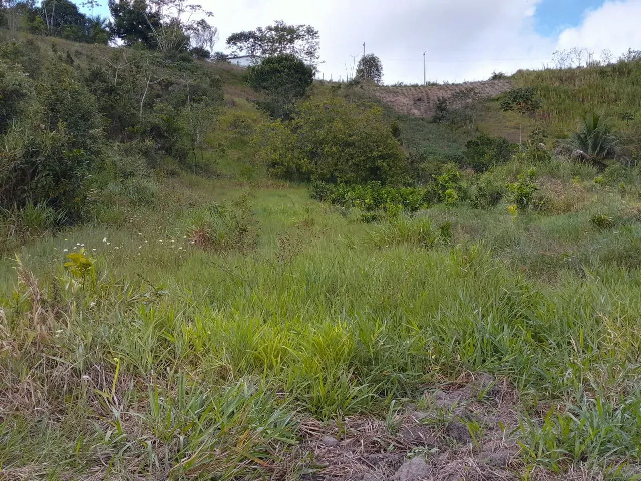 Terreno - Foto 3