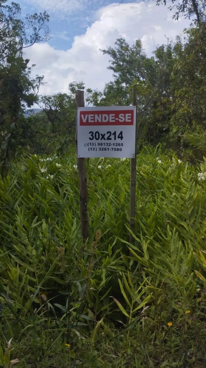 Foto - Santos - Ponta da Praia
