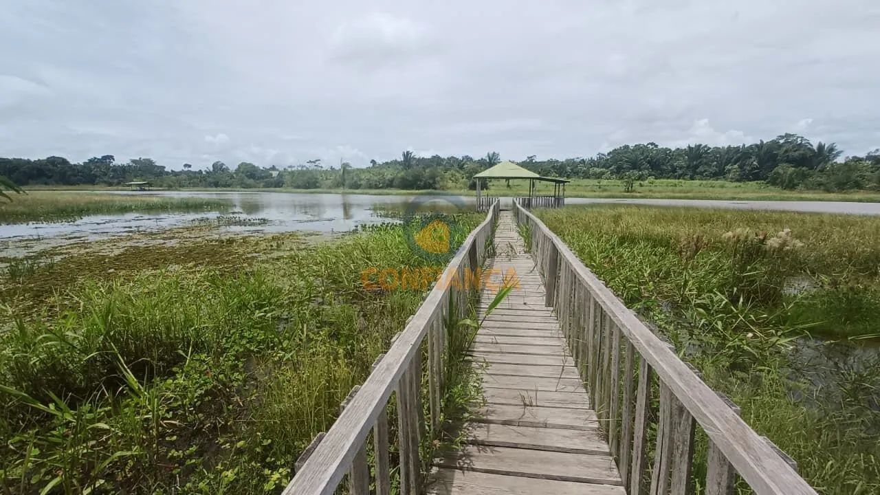 Chácara  á Venda- Riacho Azul - Foto 2