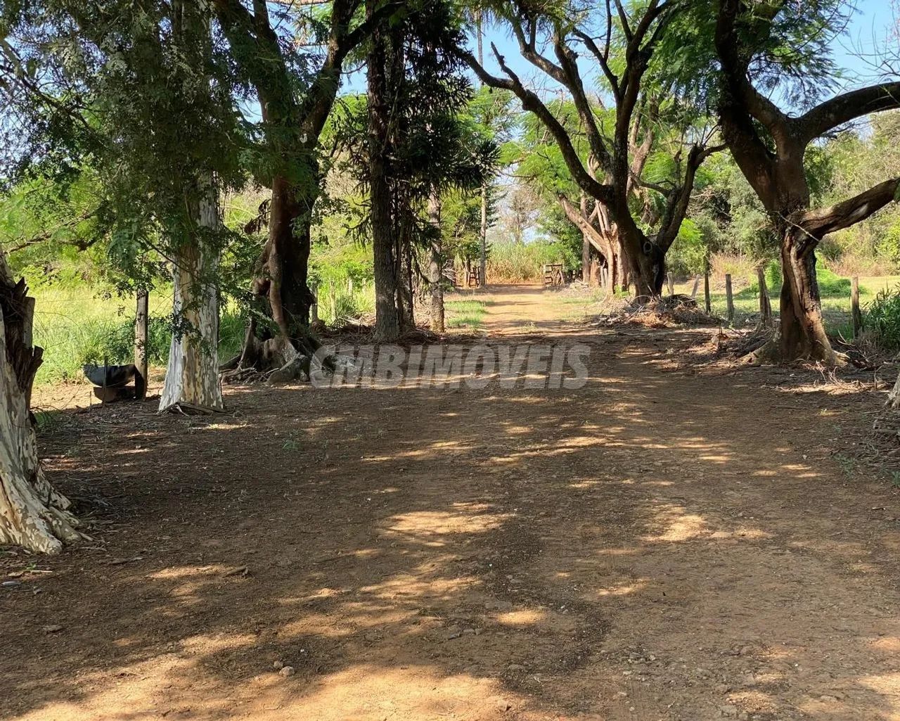 área - Pirapitingui - Santo Antônio de Posse - Foto 3